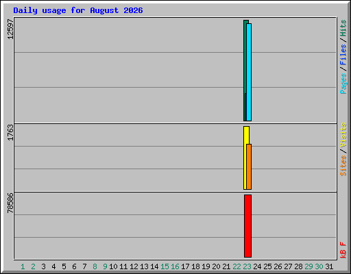 Daily usage for August 2026