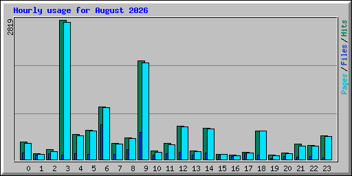 Hourly usage for August 2026